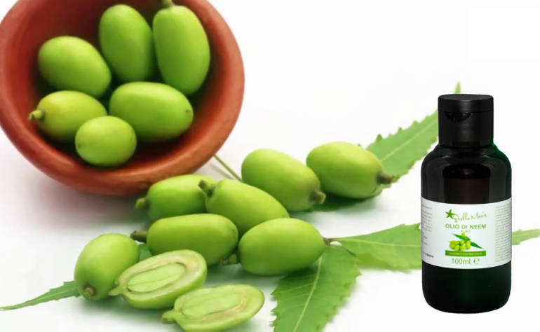 Olio di neem: la forza della natura